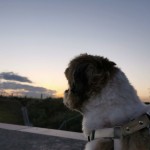 たそがれ九十九里浜