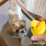 ままと、おあいこ？