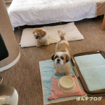 初めての旅行で気づいた事とか