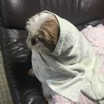 一気に冷え込んできました