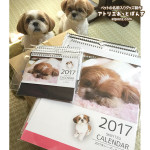 2017年度ぽんず＆かぼすカレンダー、販売中です！
