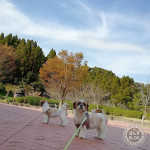 穏やかに秋晴れです！！