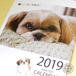 2019年カレンダー販売開始です！