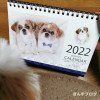 2022年カレンダー正式に販売開始です！