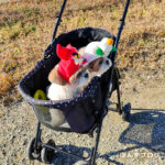 地球襲来？もふもふ星人2024