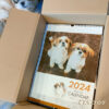 2024年（令和6年）のシーズーカレンダー販売開始です