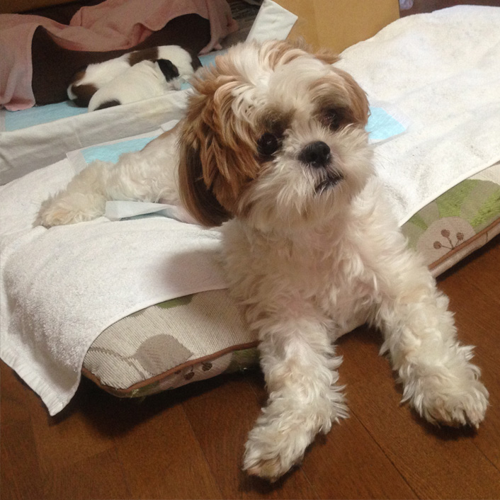 24日目：初めての意思疎通！？