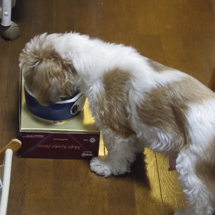 27日目：初めてづくし