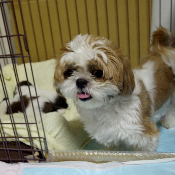 28日目：多忙な日々ふたたび