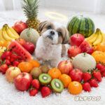 ぽんず永眠から２ヵ月です