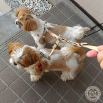 ２又リードデビュー？