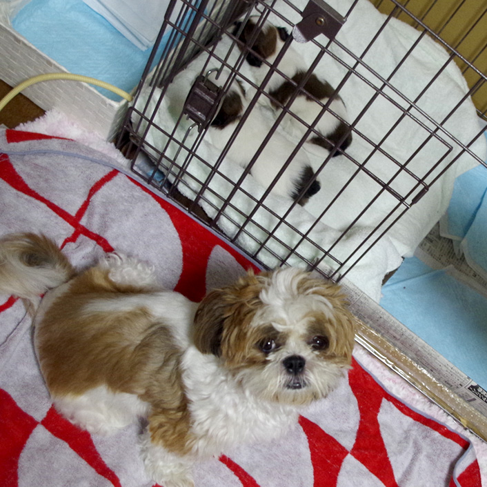 30日目：食べてはいますが・・・