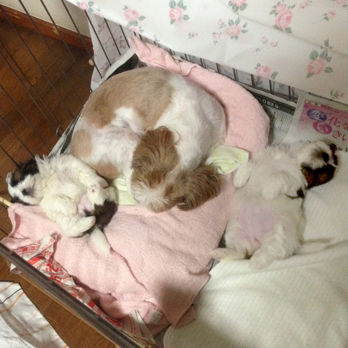 39日目：カメラ目線！！