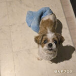 ３時（！？）のおやつ