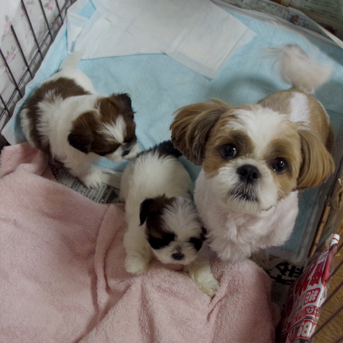 40日目：出せ～ここから出せ～！！