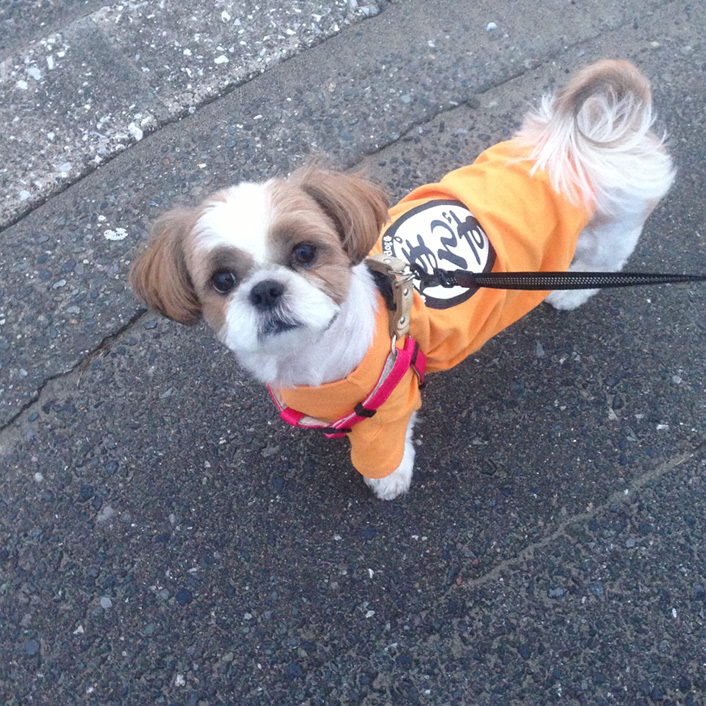 41日目：トイレはここ。