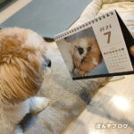 豪雨、多くない！？