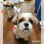 ふふふ、おしえてあげないんだ。