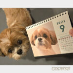 そろそろカレンダー作らなきゃ