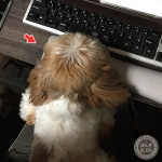 あご乗せトレイ？