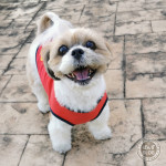 おいら、いっぱいあそんだかぼ！！