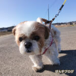 もふもふ親子パワー！