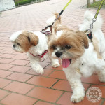 満足そうな、もふもふ親子♪