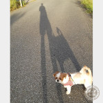 マイペースな秋。