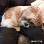 甘えんぼは、うれしい。