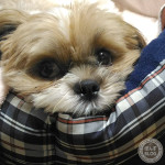 空は曇っていても。