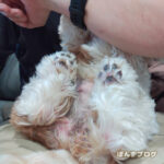 時間によって赤くなったり、ならなかったりも