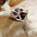 あんよが、のってるよ！