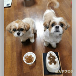 食事アレルギー対策！