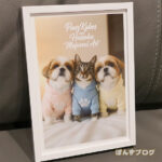 ぽんかぼ達のアートフォト作品販売開始です!