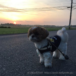 朝練？朝スト？