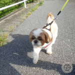 ご飯前に行ってきました。