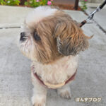 朝は気持ちいいよね