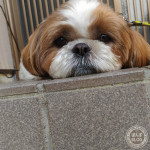 １日のスイッチ