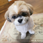 足のうら、痛い！！