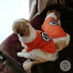 くずしオスワリ。