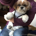 風のせい？足が真っ黒です