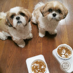 かぼすのフード切り替え中。