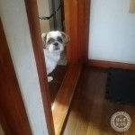 おやつ、まだ～？