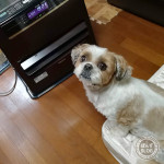 ぬくぬくしたい日。