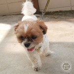 なんでこんなに暑いのか。