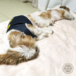 むしあつい！！