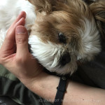 暑いけど、甘えてきます。