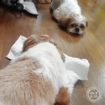 寒かったり、暑かったり・・・