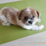 おやつスイッチ！