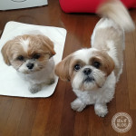 もぐもぐタイムで若返り。